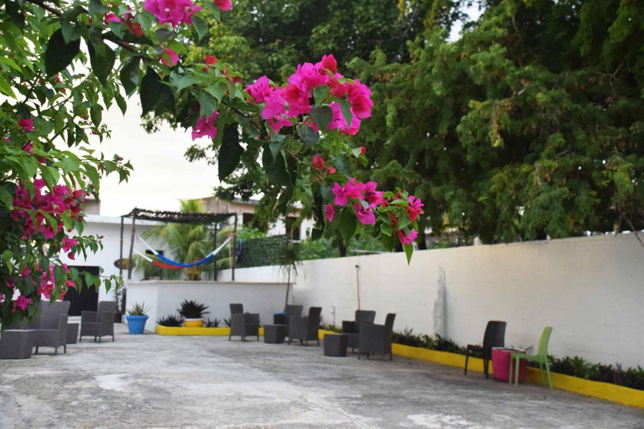 Hostal Casa Bohemia Merida Exterior photo